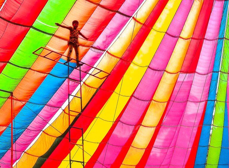 Little Acrobat A Child's Circus Feat