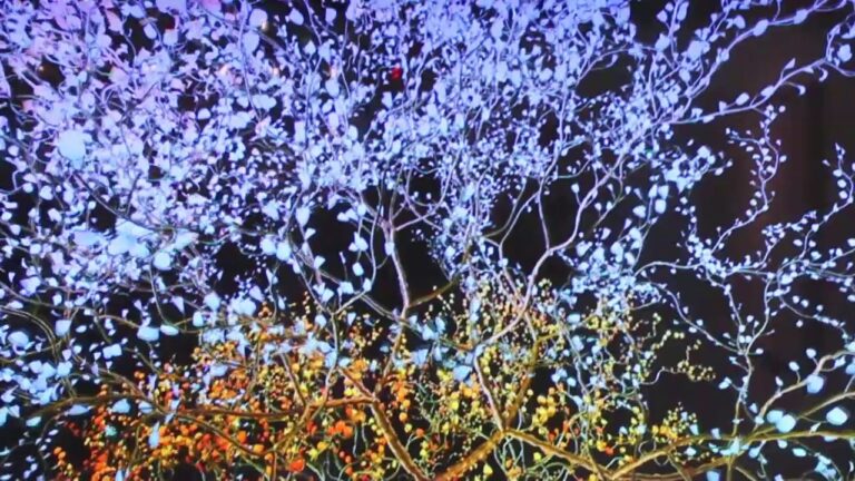Video Installation by Jennifer Steinkamp Lehmann Maupin Gallery The Armory Show SML