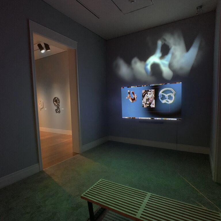 The Casebearer 2 0 video by Dave Greber installed at the Ogden Museum of Southern Art