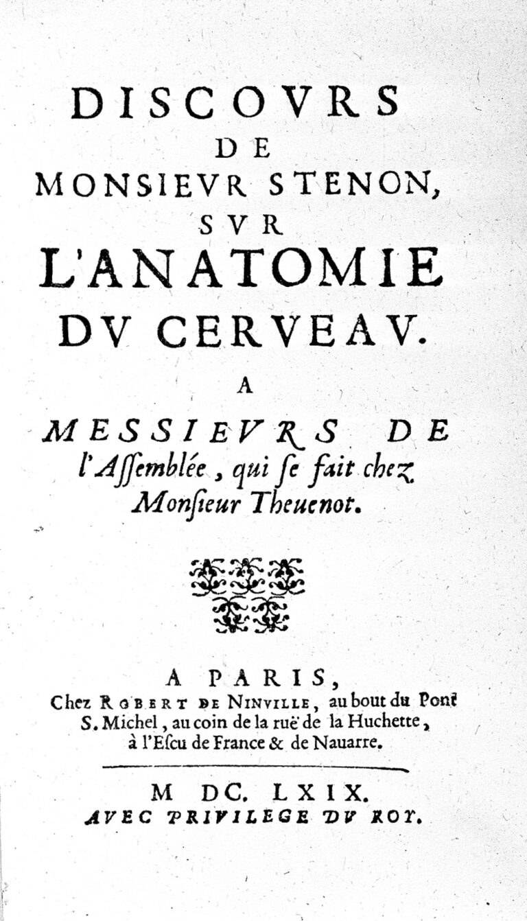 Essay on the anatomy of the brain