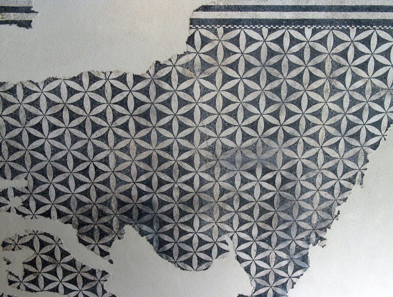 Geometric mosaic from House of the Dove St-Rom-en-Gal Mus Gall-Rom