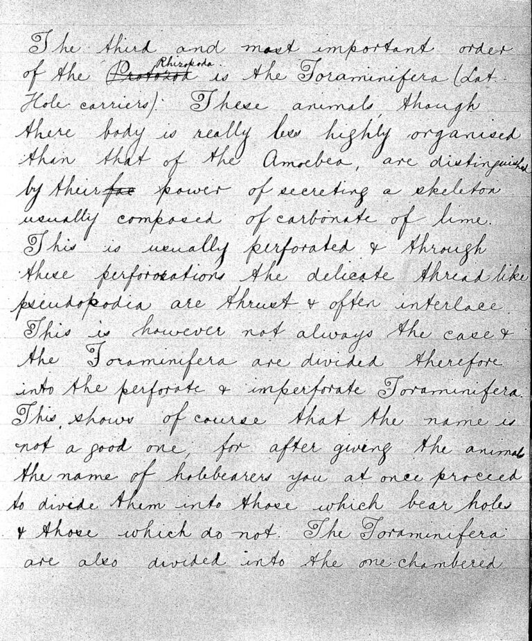 An essay on protozoa by Sir Henry Dale aged 13 Wellcome L
