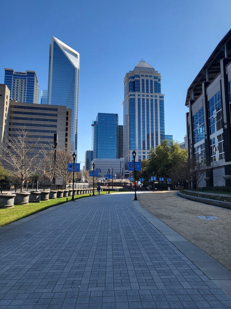 Bank of America Stadium image 3