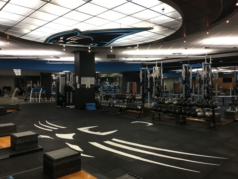Bank of America Stadium image 4