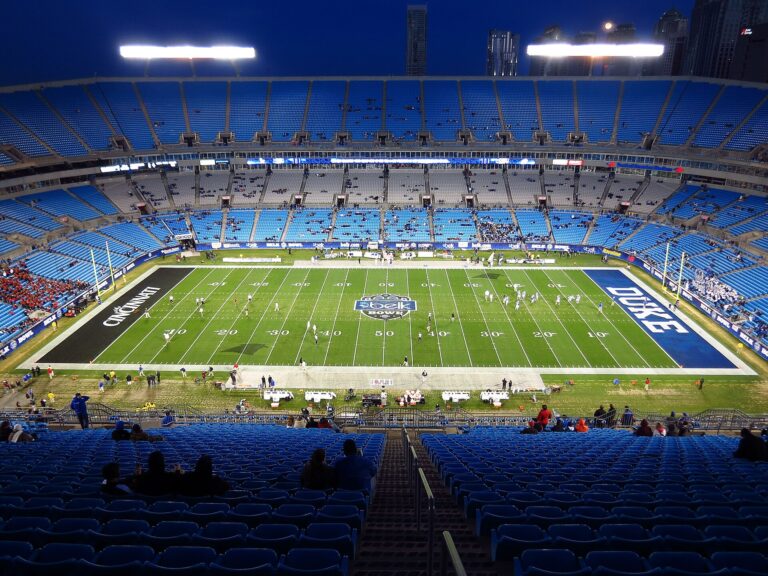 Bank of America Stadium image 5