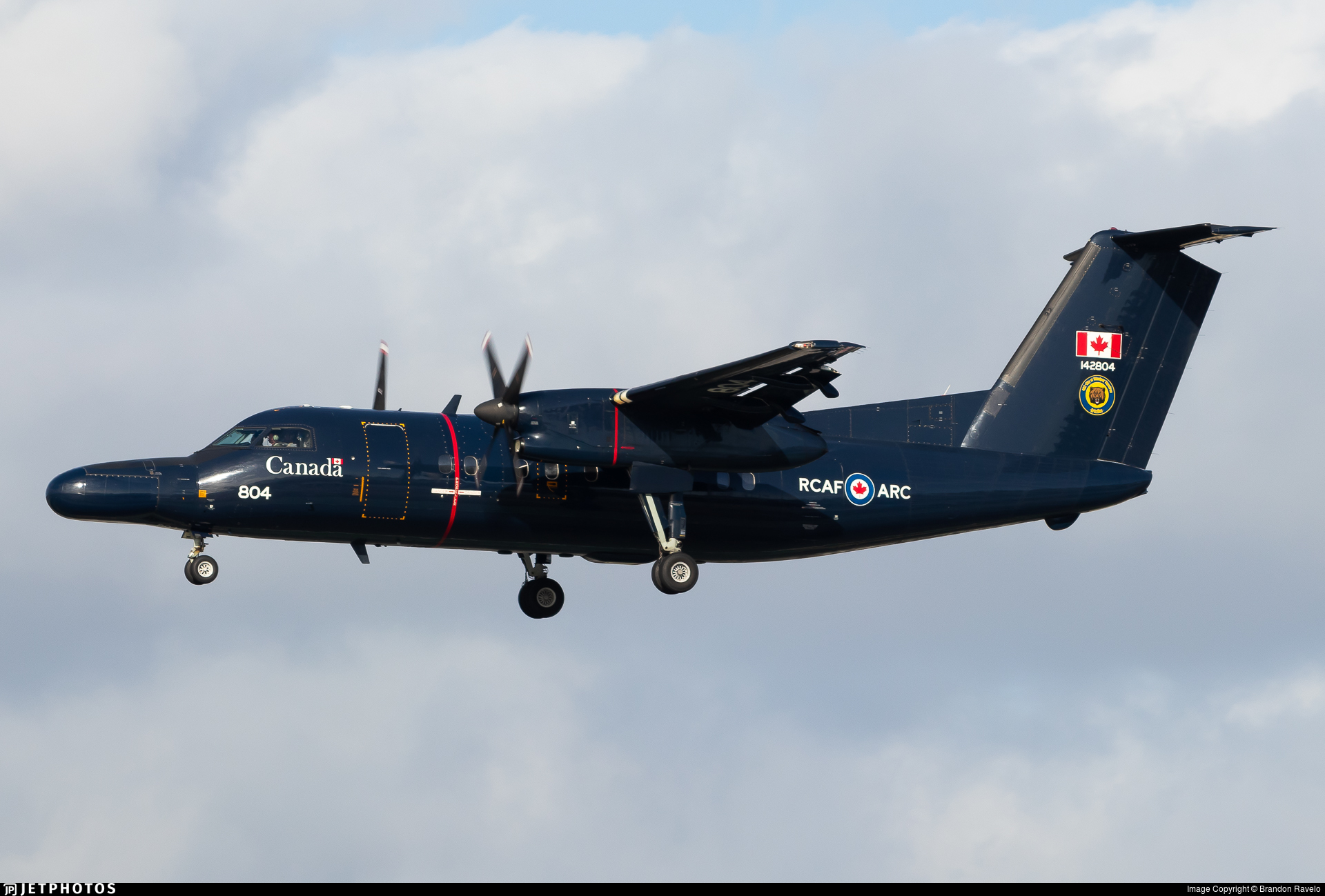 Beechcraft CT-142 Dash 8 aircraft image 4