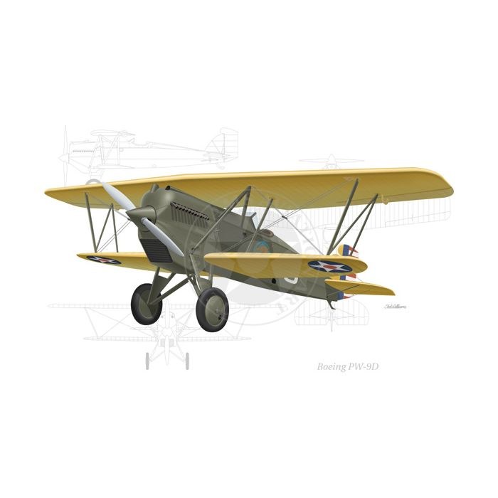 Color illustration of a Boeing PW-9D biplane with yellow wings and U.S. roundels.