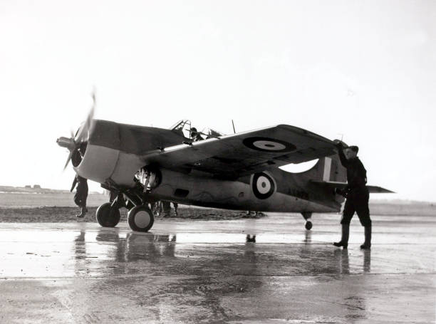 Brewster F2A Buffalo - World War II, March 1944, An American built Brewster F2A Buffalo single seat fighter aircraft in service with the Royal Air Force during ...
