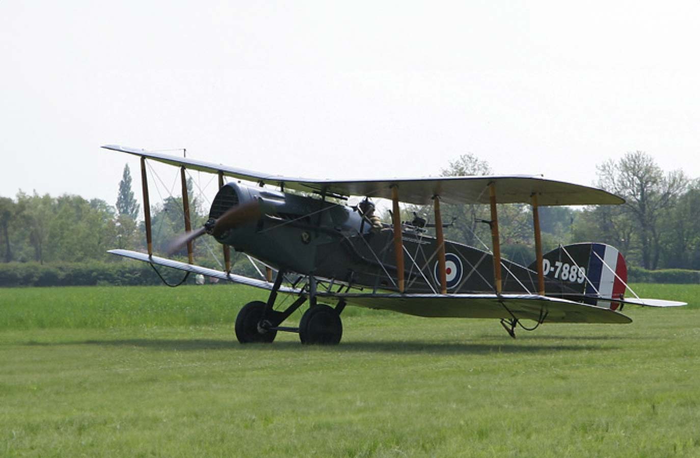 Bristol F.2 Fighter aircraft image 5