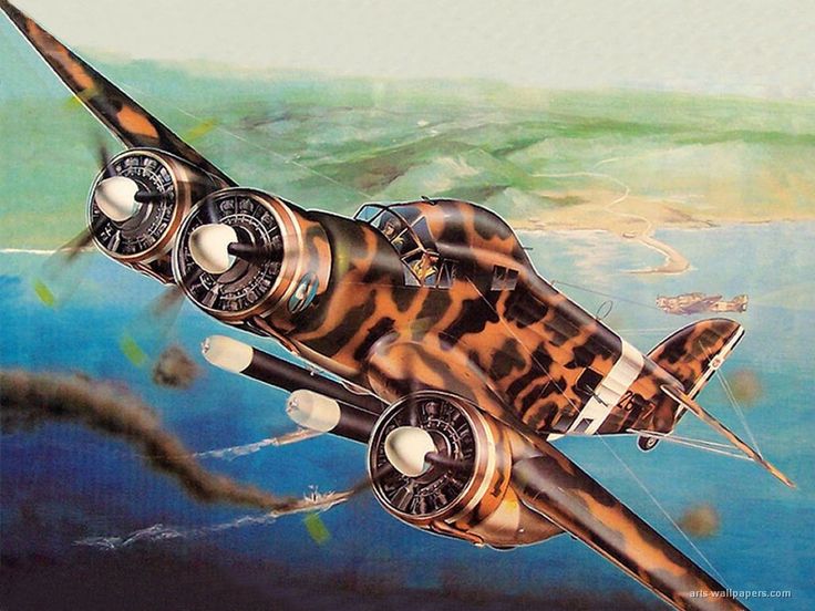 Cant Z.1007 Alcione - CANT Z.1007 Alcione Military Aircraft Art