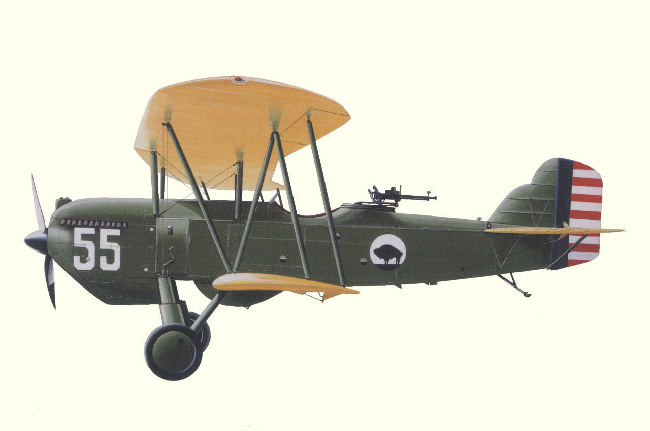Curtiss O-1 Falcon - Curtiss O-1 Falcon