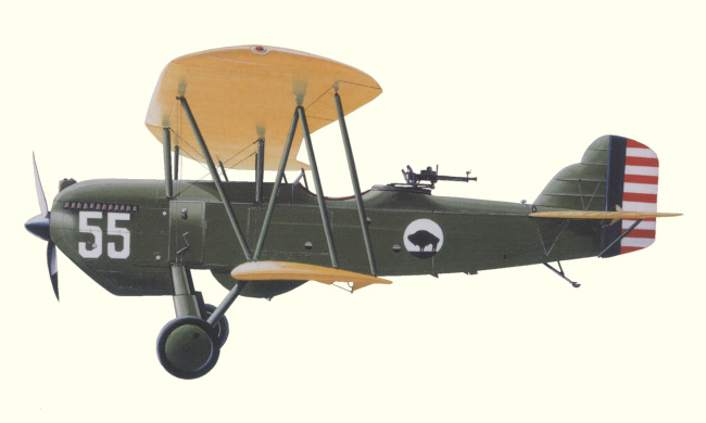 Curtiss O-1 Falcon - Vue d Curtiss O-1 Falcon