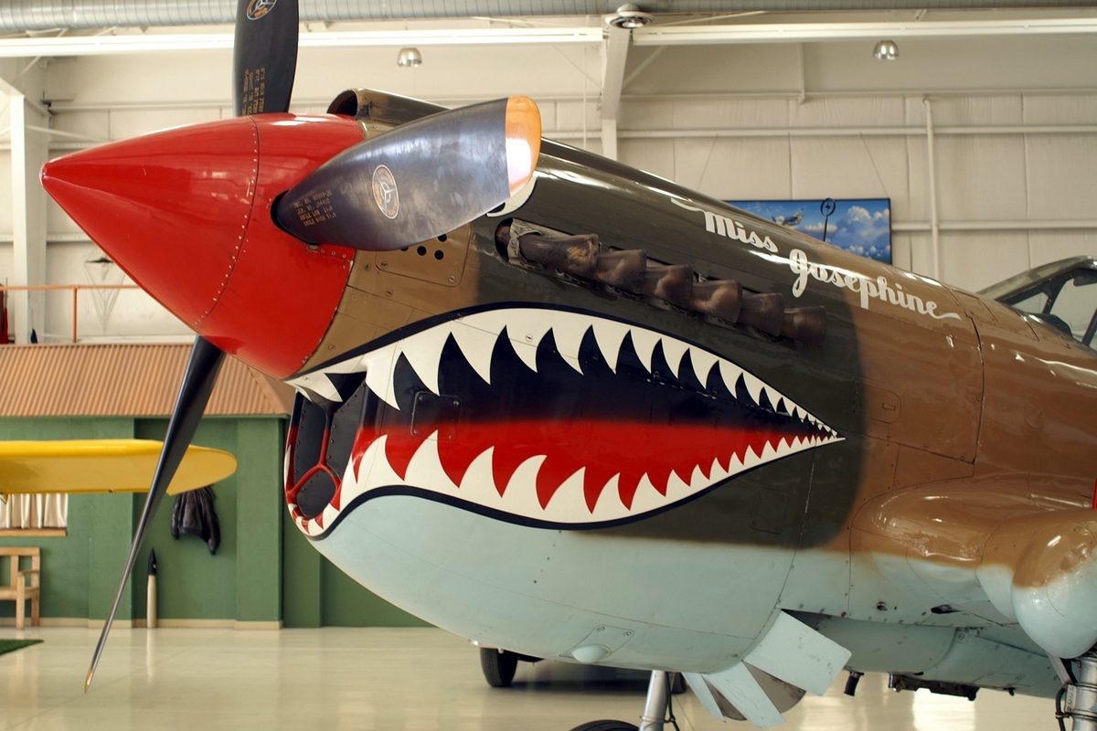 Curtiss P-40 Warhawk - Curtiss P-40 Warhawk - WalkAround - NET-MAQUETTES