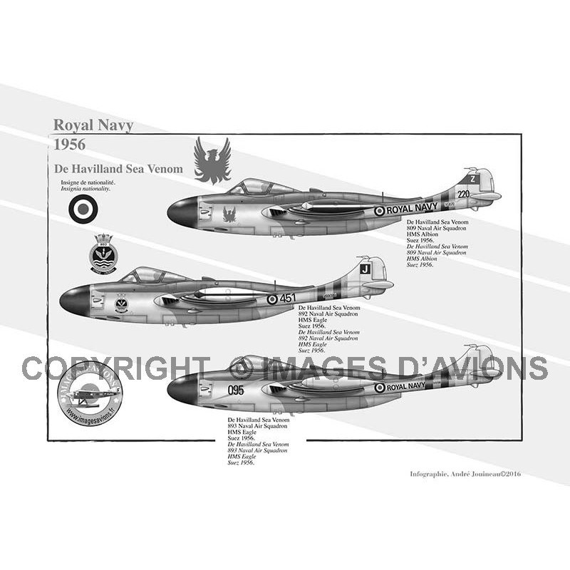 Black-and-white Royal Navy Sea Venom infographic with three side profiles.