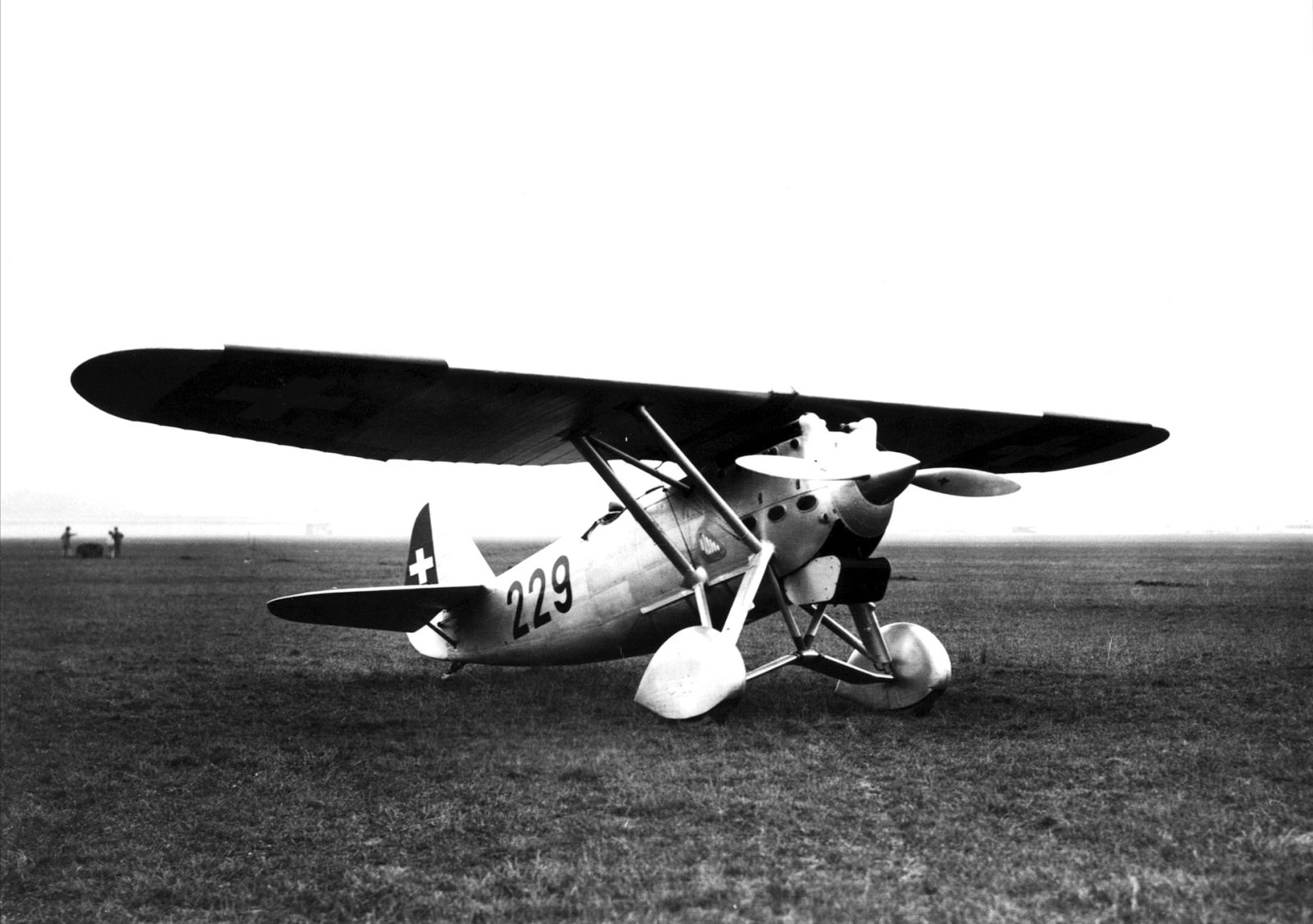 Dewoitine D.27 - Dewoitine D.27 lll no.229, the Swiss AF Aircraft of World War II