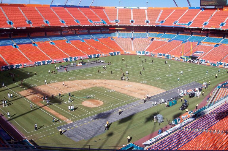 Dolphin Stadium image 2