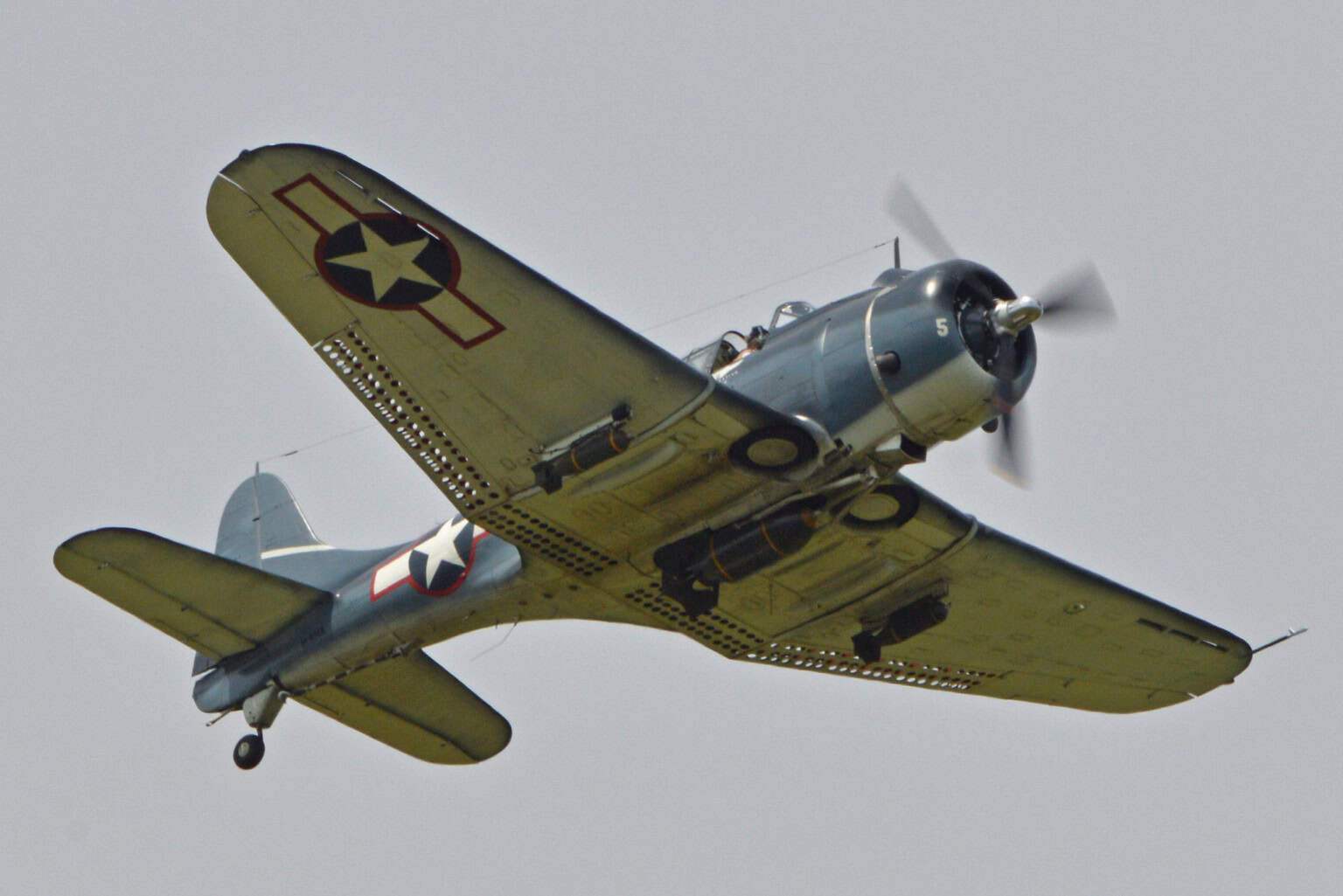 Douglas SBD Dauntless - Douglas SBD-5 Dauntless