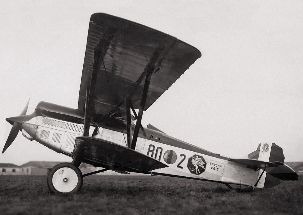 Fiat CR.20 biplane fighter side view