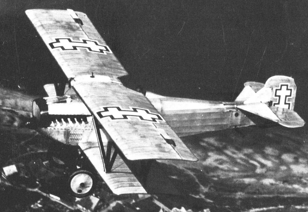 Fiat CR.20 biplane fighter overhead view