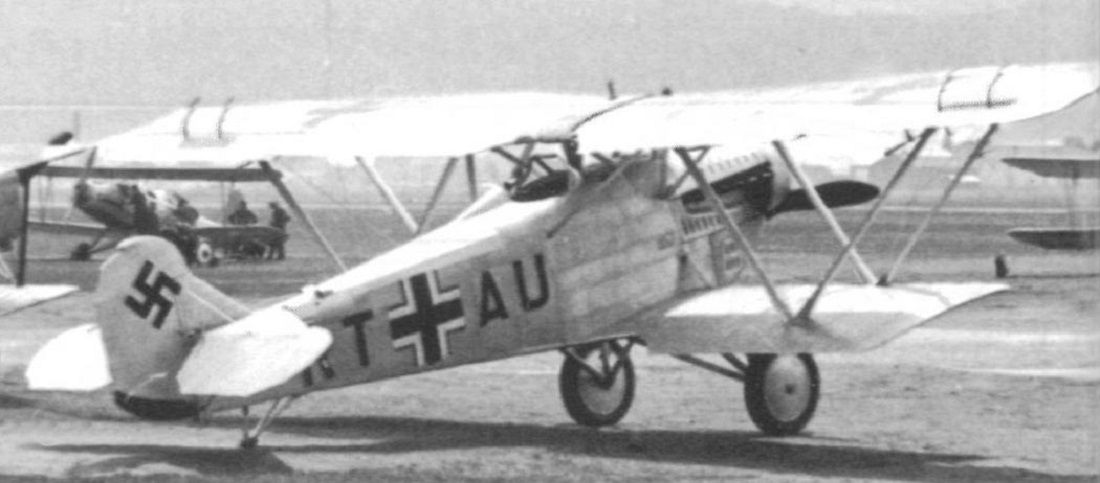 Fiat CR.20 biplane fighter in service markings