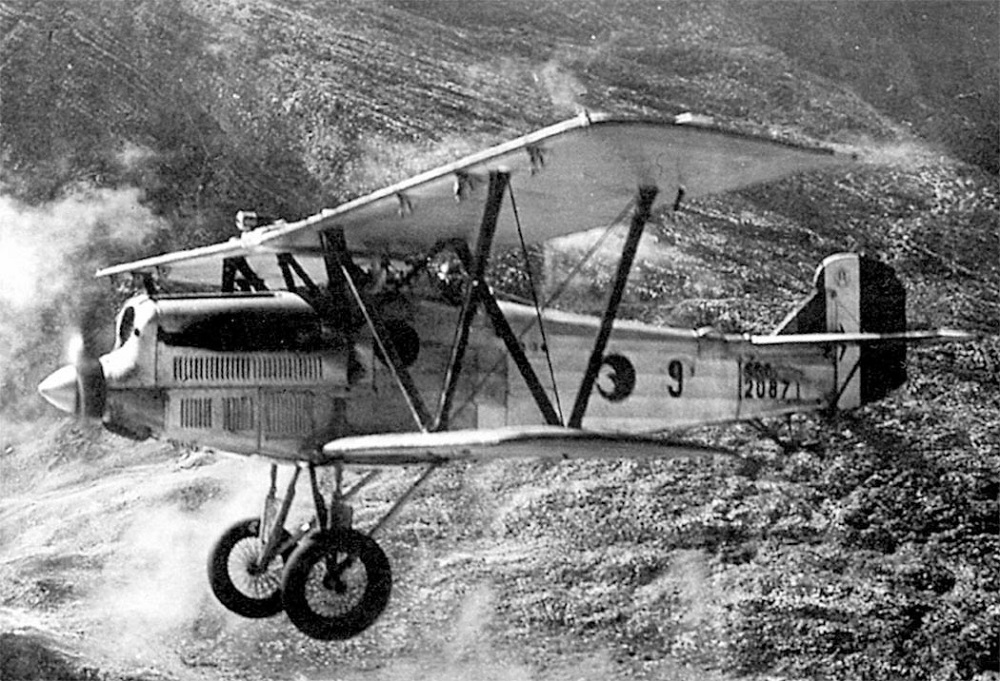 Fiat CR.20 biplane fighter with tail marking