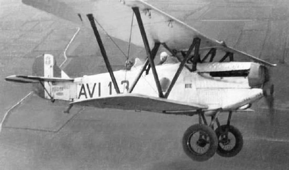 Fiat CR.20 biplane fighter airborne view