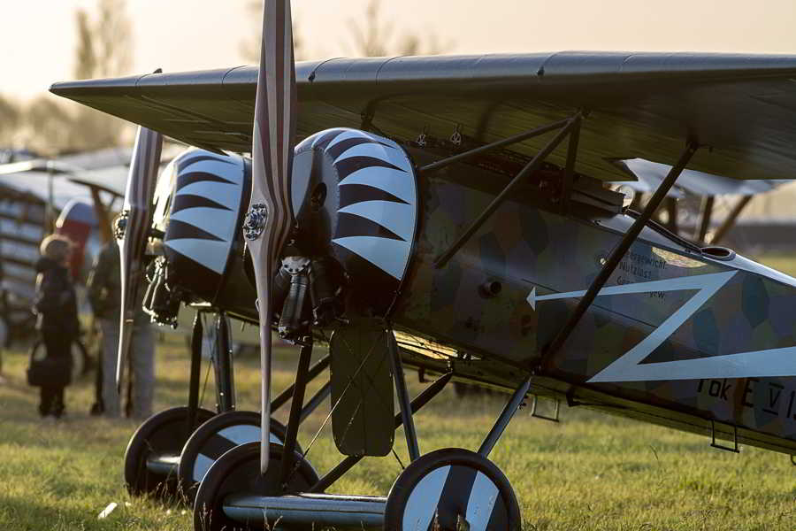 Fokker D.VIII - Aircraft : ZK-FEV - Fokker D.VIII