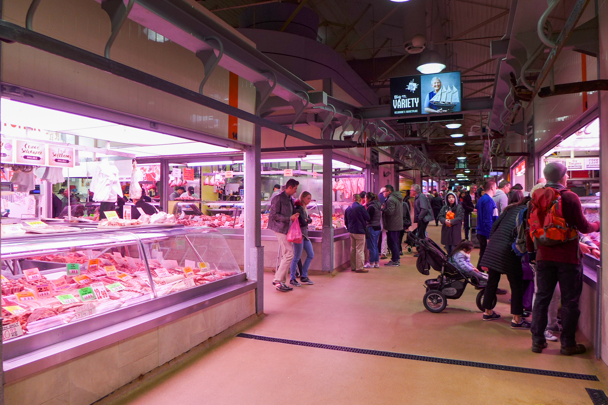 Animals - Queen Victoria Market Meat & Fish Hall 201708
