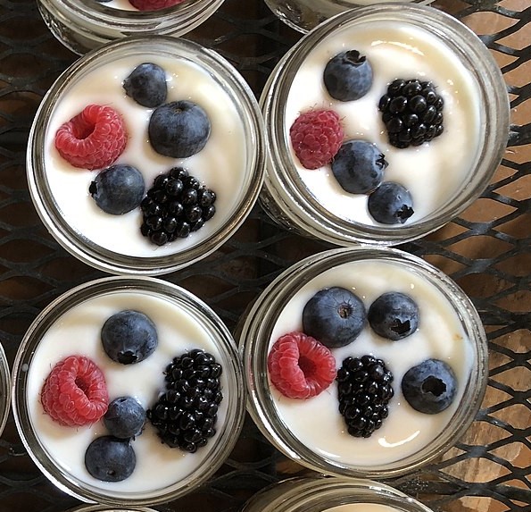 Microbial - Granola and yogurt - Bubbles + Brunch 2018 - Sarah Stierch 02 cropped