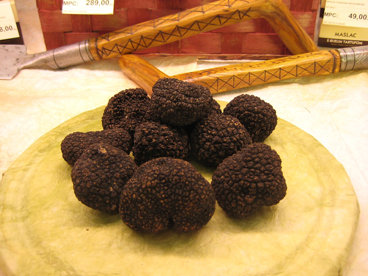 Ectomycorrhizal Truffles