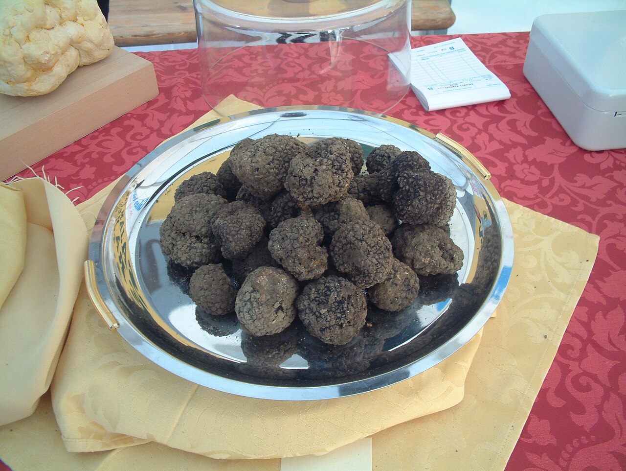 Ectomycorrhizal Truffles