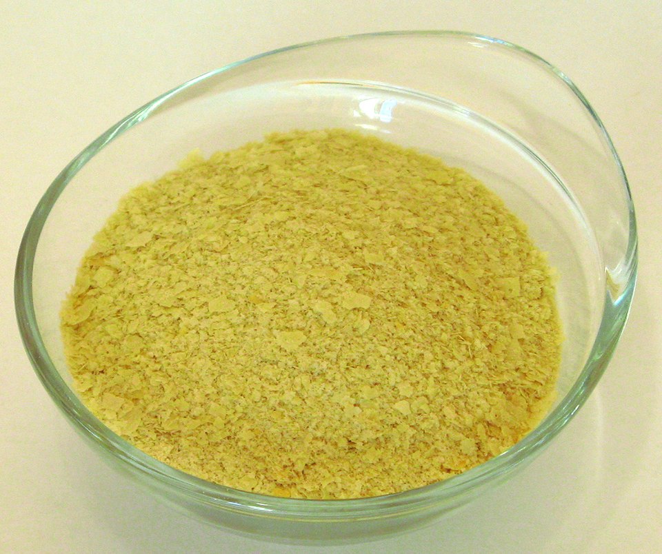 Edible Yeasts