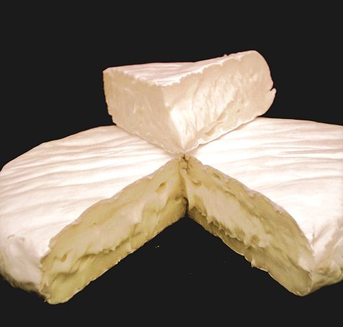 Fungal Culture Foods