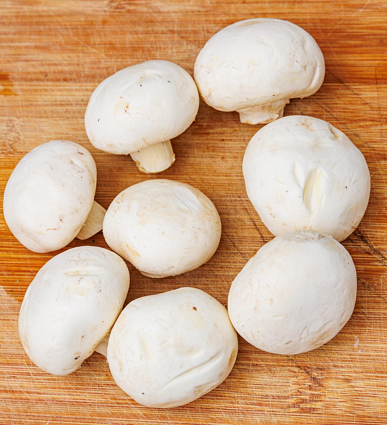 Milky Mushrooms
