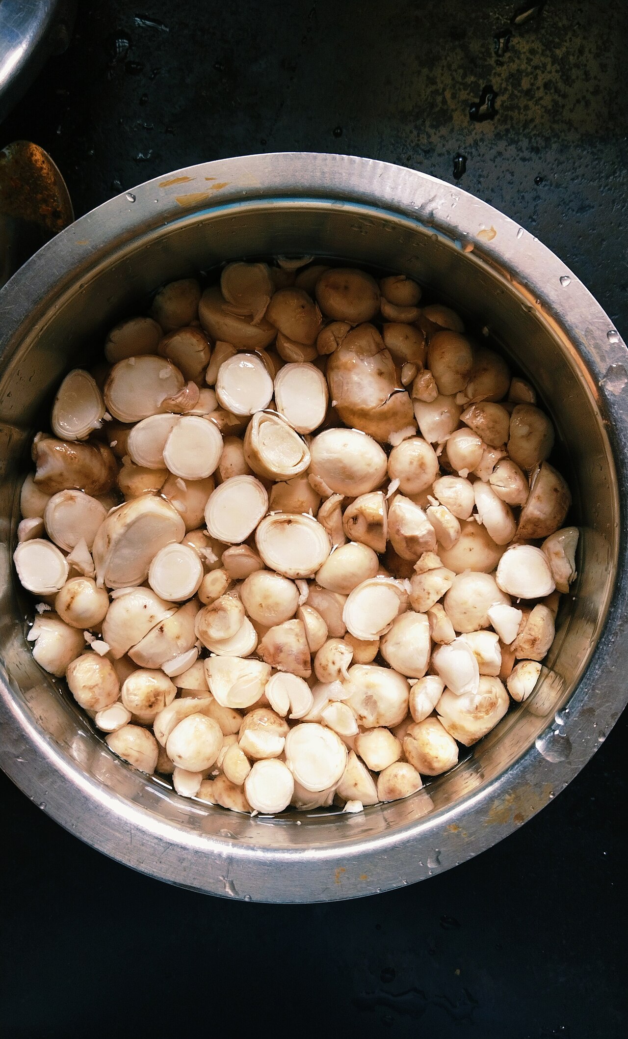 Milky Mushrooms