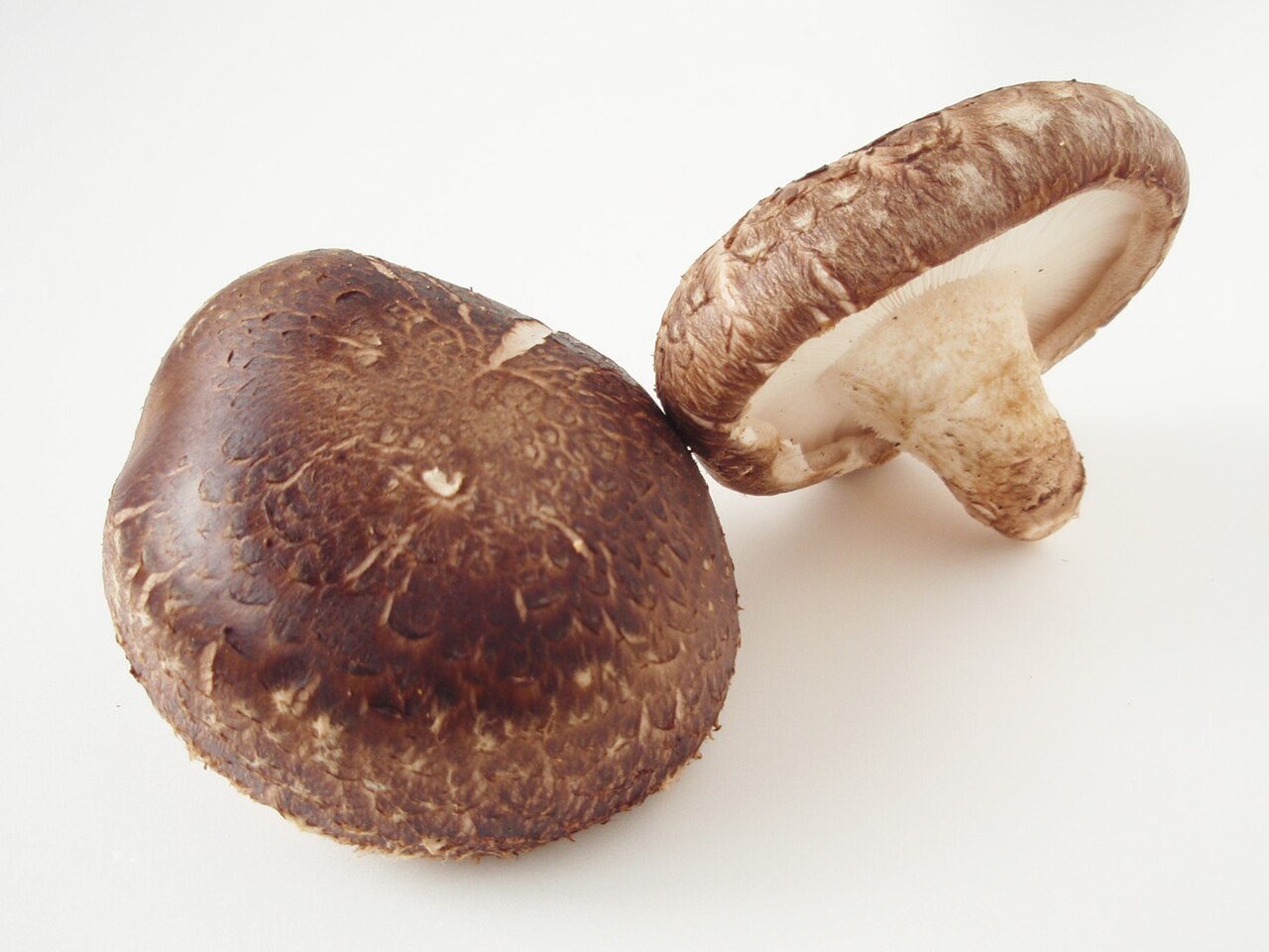Shiitake Mushrooms