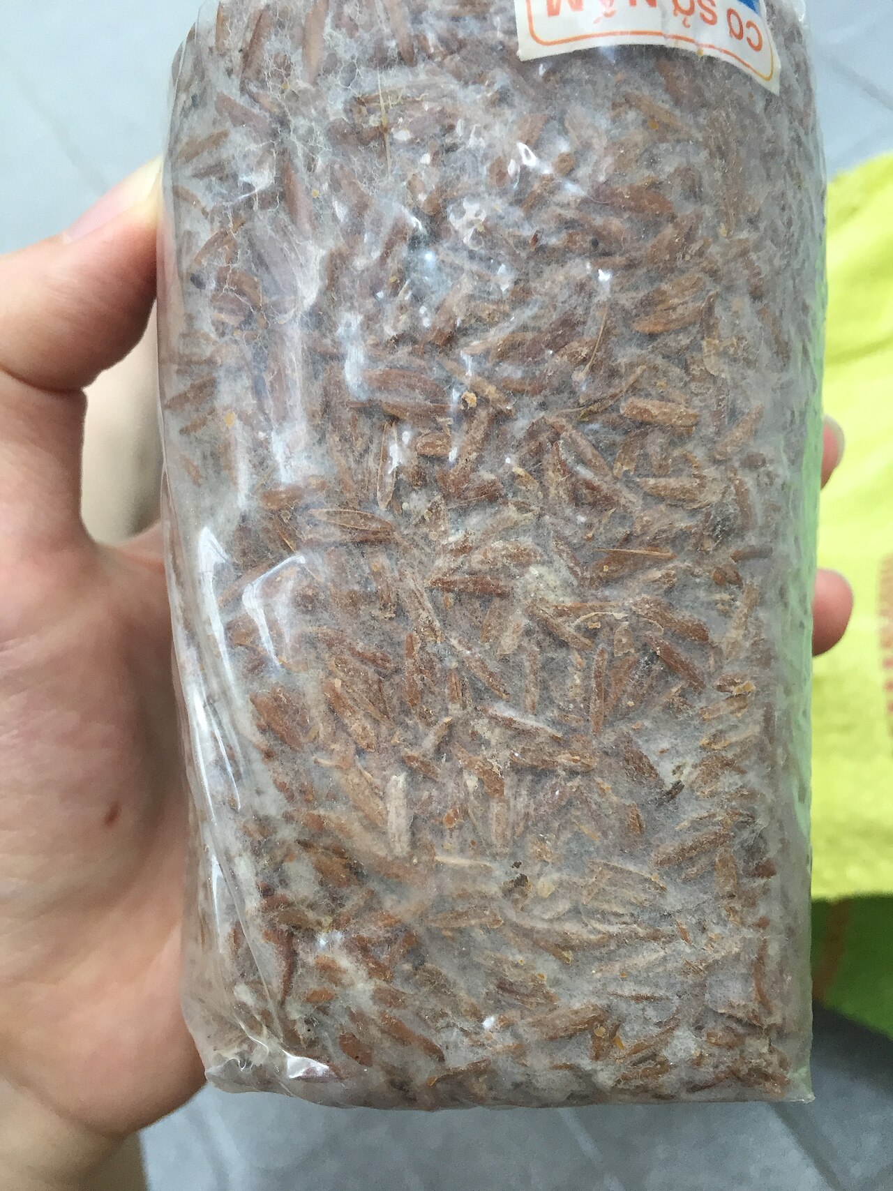 Straw Mushrooms