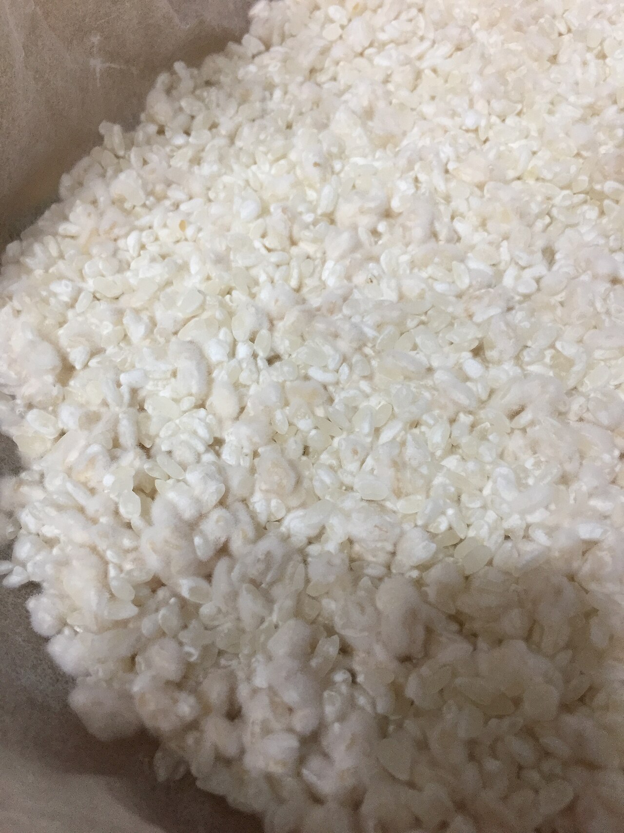 Transformative Fungal Cultures