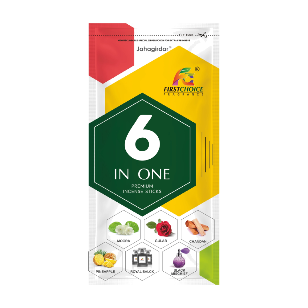 6 IN 1 logo