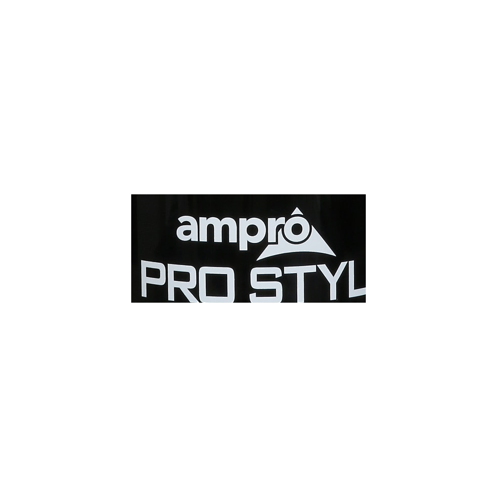 Ampro Pro Styl logo