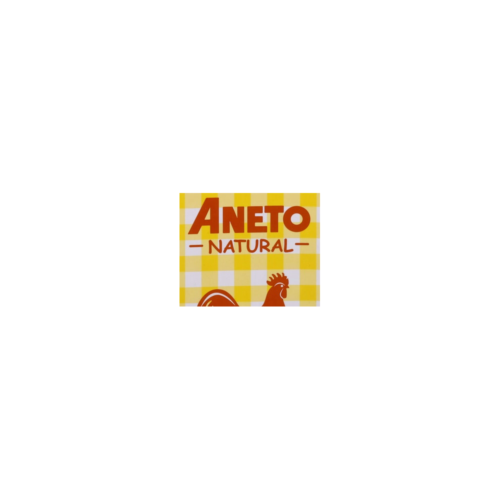 Aneto logo