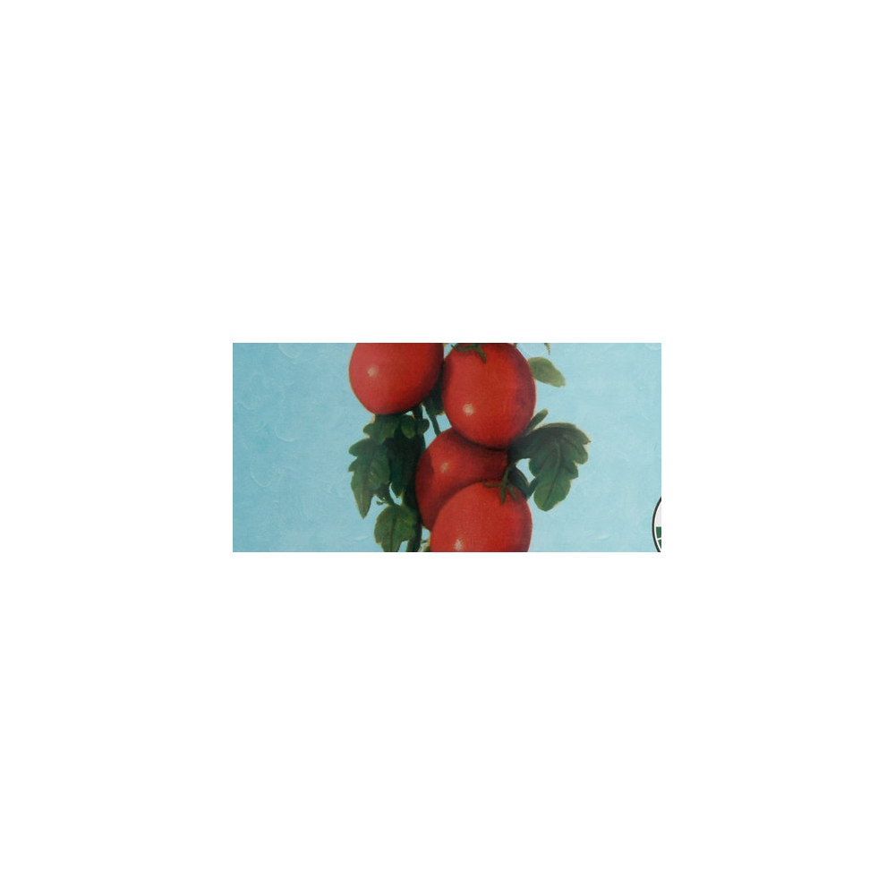 Bianco Dinapoli logo
