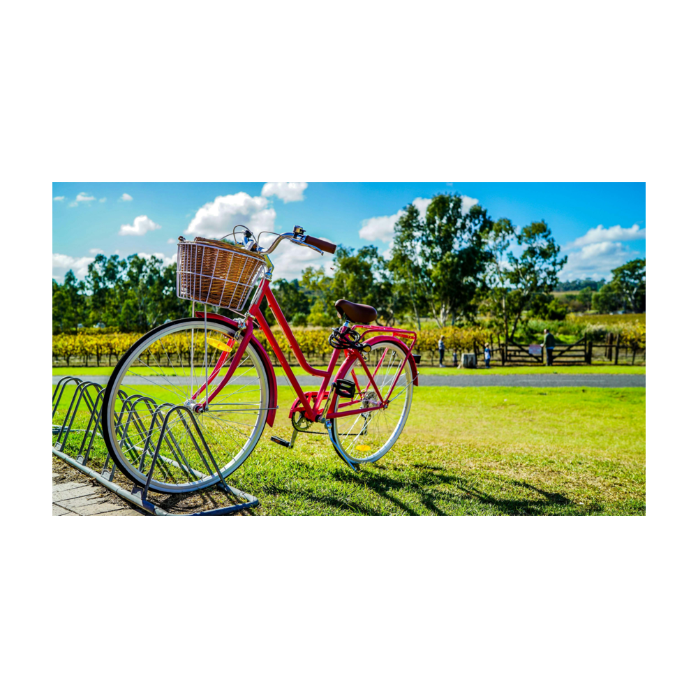 Bicycle logo