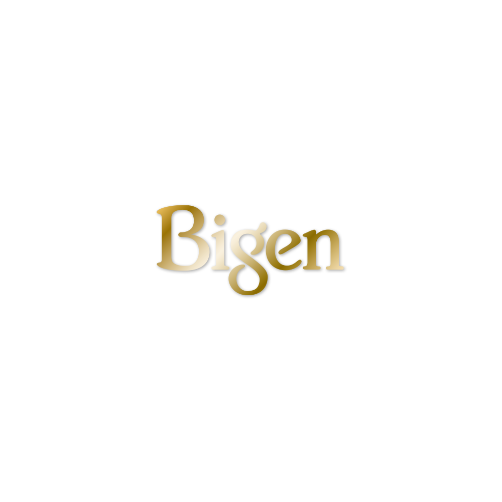Bigen logo