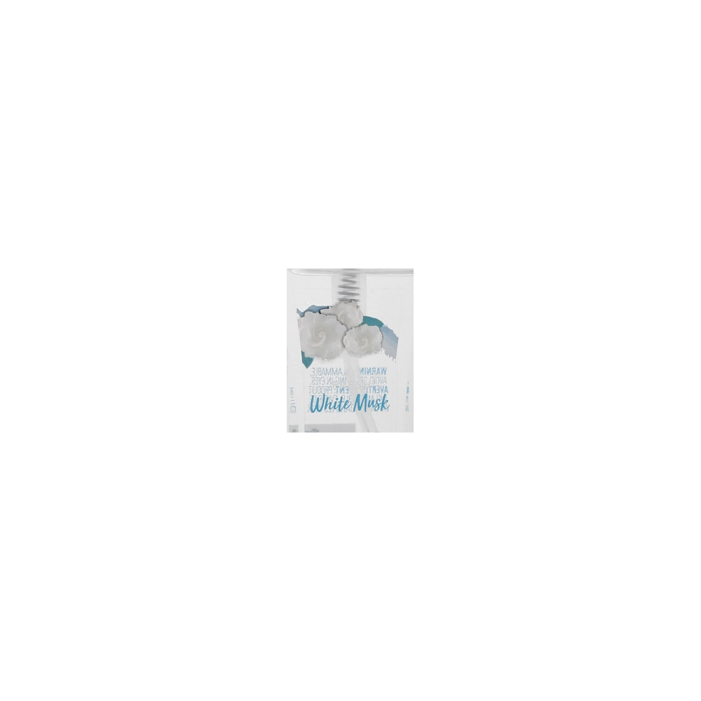 Body Fantasies logo