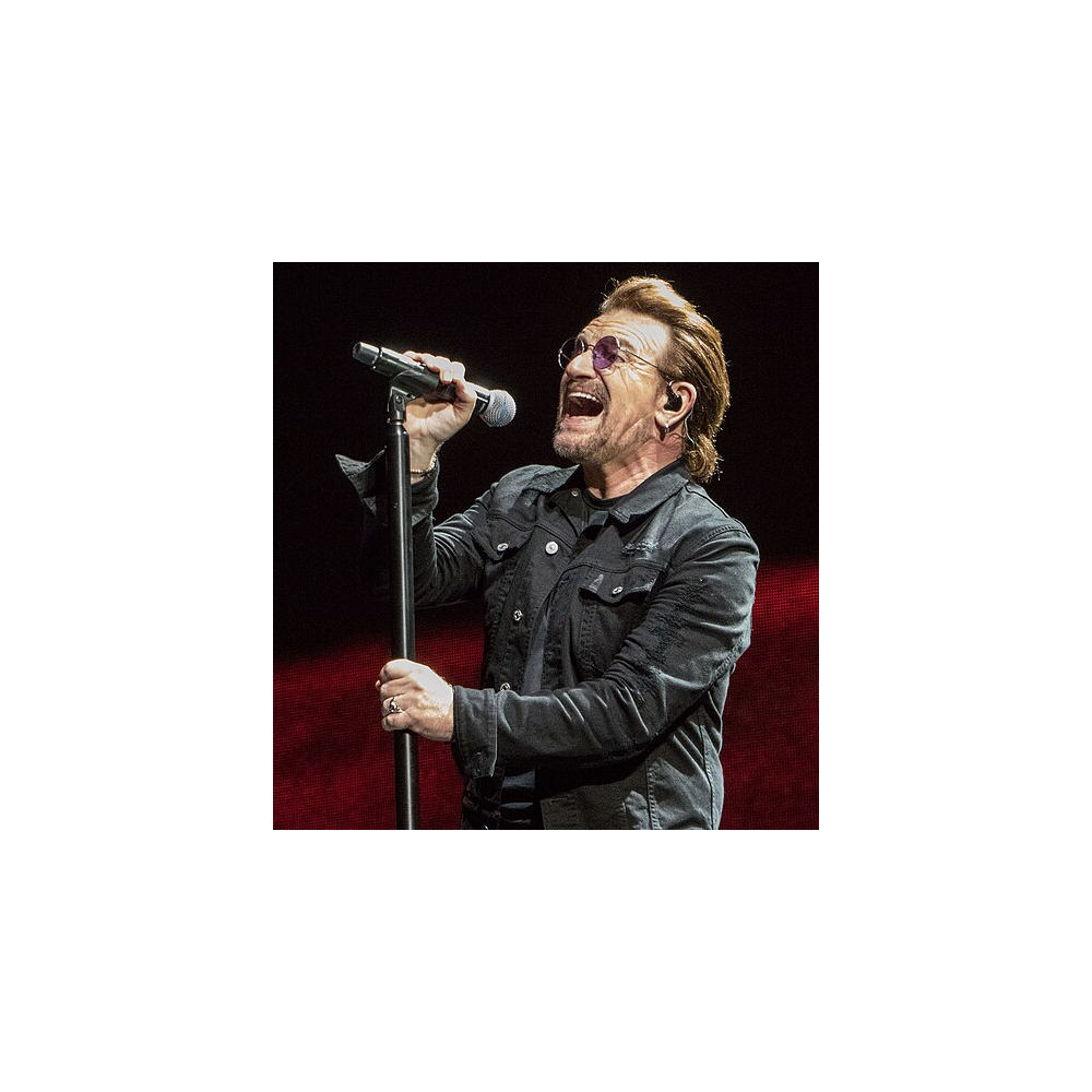Bono logo