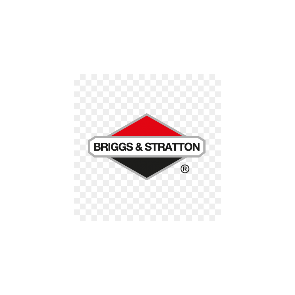 Briggs & Stratton logo