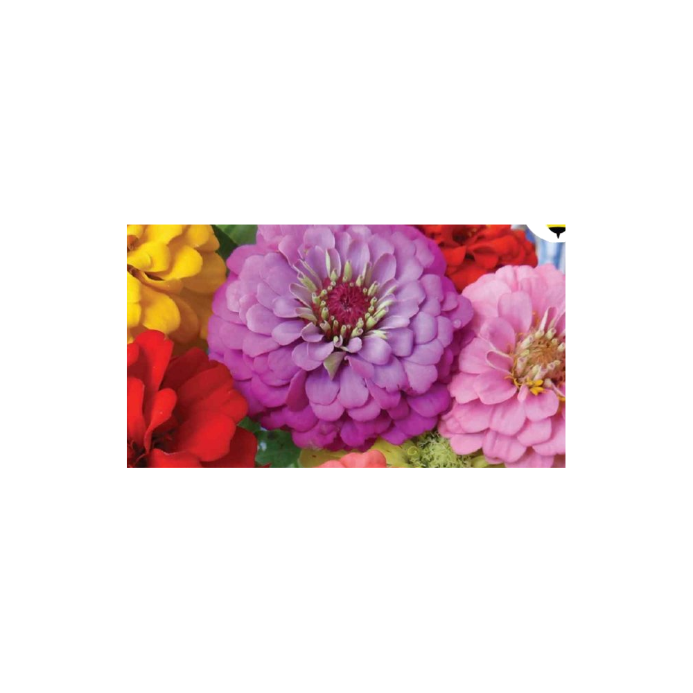 Central Garden & Pet Company logo