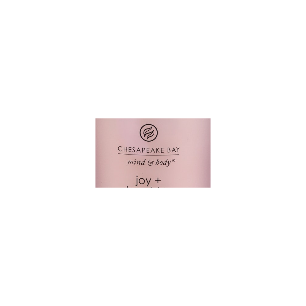 Chesapeake Bay logo
