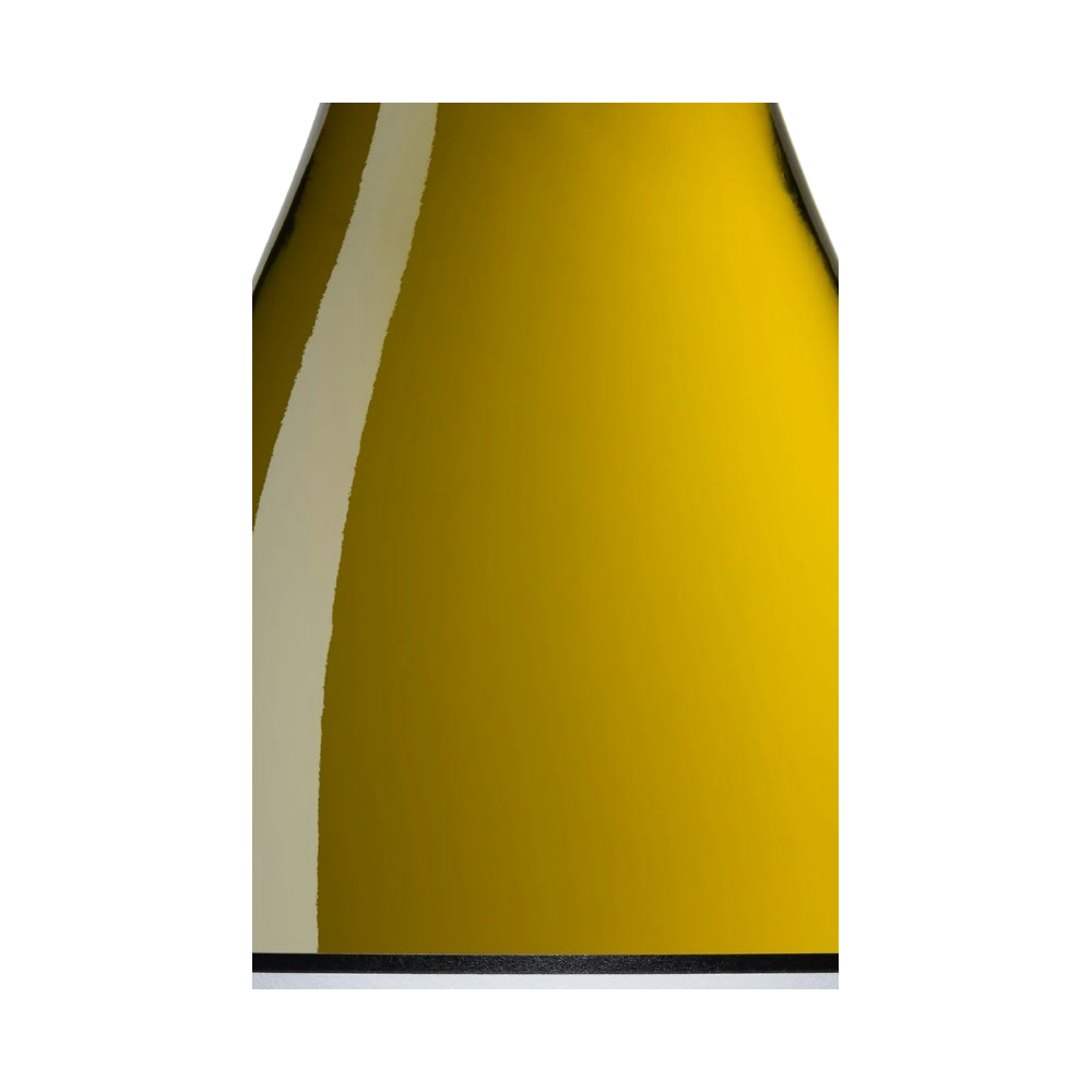 Chloe Wine Collection logo